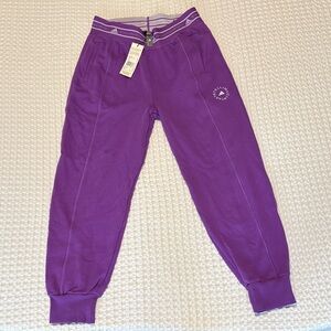 Adidas Women’s Joggers in Vibrant Purple